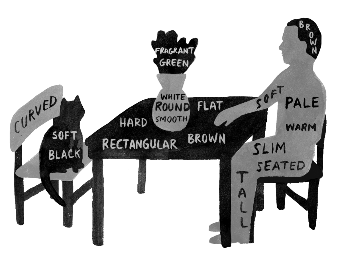 Man and cat seated across from one another at a table. Each component of the image is labelled. For instance, the table top is flat, brown, hard, rectangular. The human is soft, pale, warm, slim, seated, and tall.
