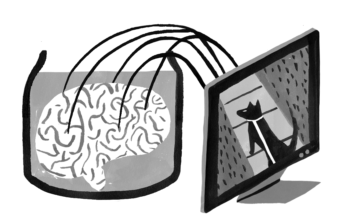 A brain in a vat is connected via wires to a computer monitor, on which there is an image of a dog walking up stairs.